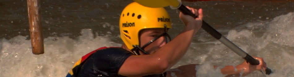 快速缓存更新的ddos在线网页端